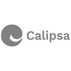 Calipsa Video Monitoring Partner
