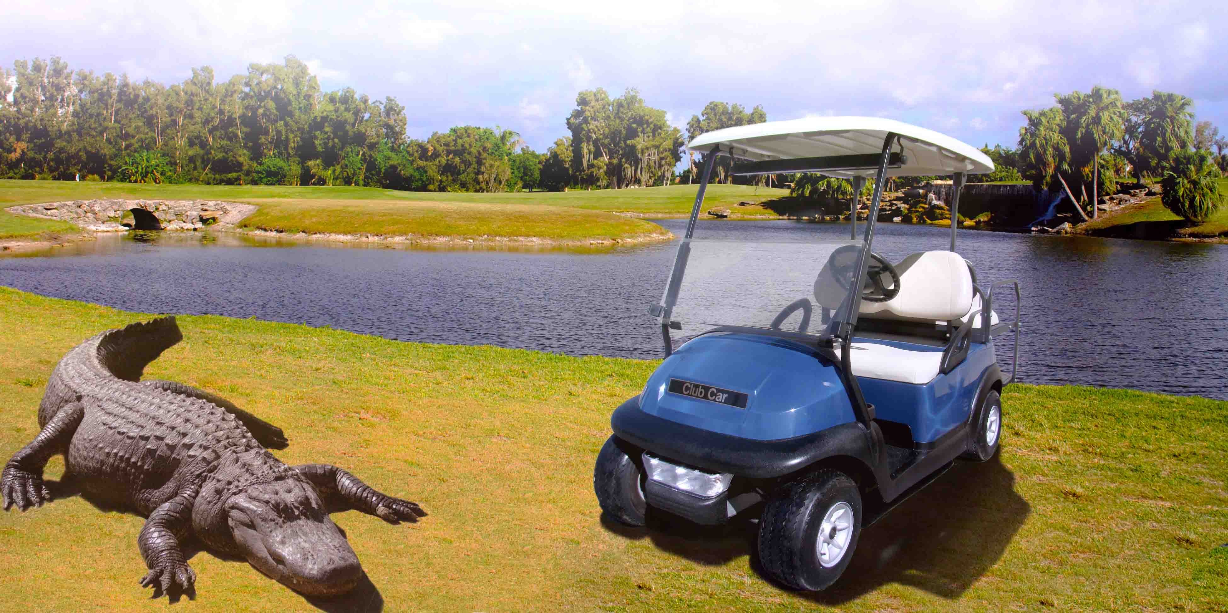 Grass golf carts gators_Web
