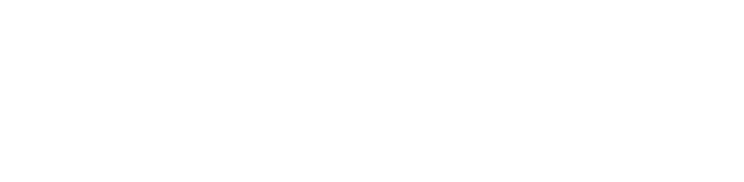 AvantGuard - Logo - Large - White